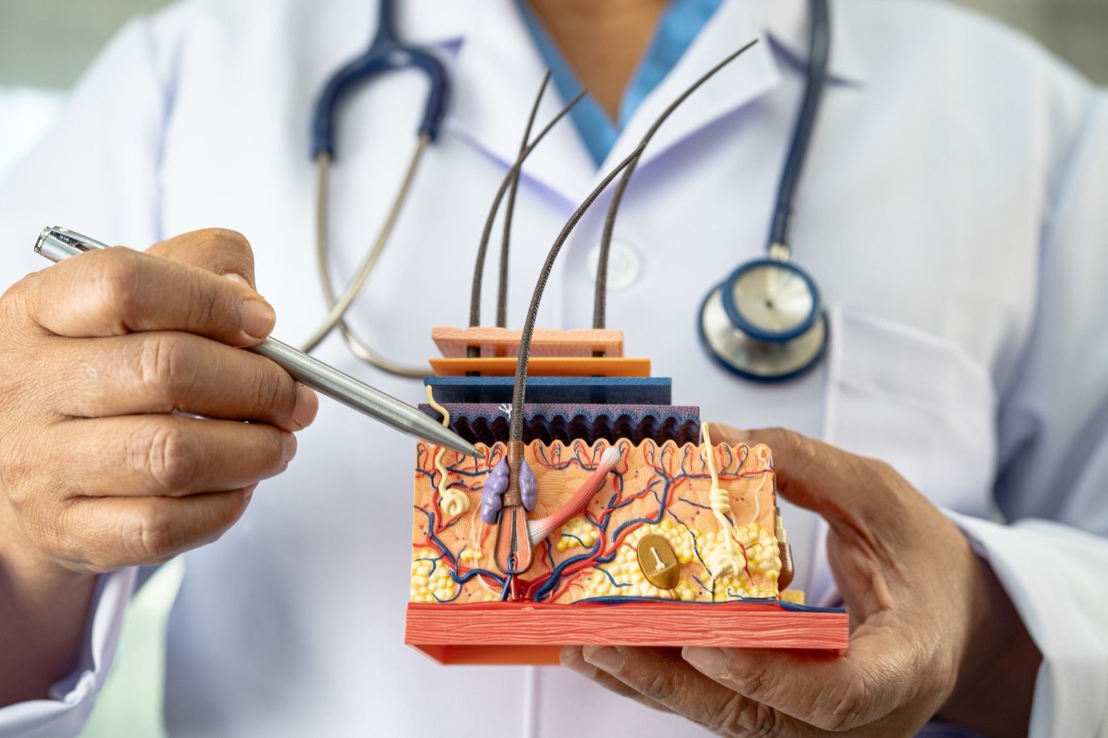 Menopause Treatment in NJ — physician consultation and lab review at Nusbaum Medical Centers